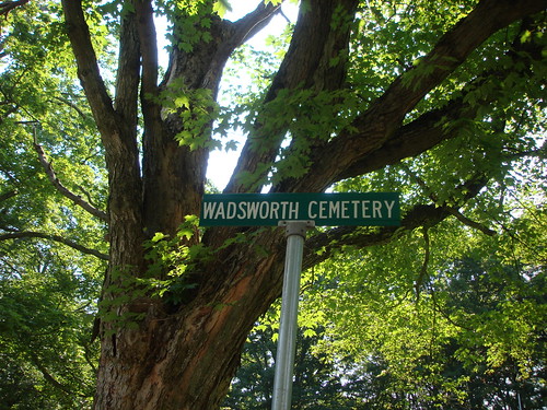Wadsworth Cemetery Sign by midgefrazel