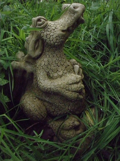 coy dragon on Jumbly's grave