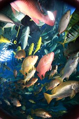 Aquarium Chiangmai