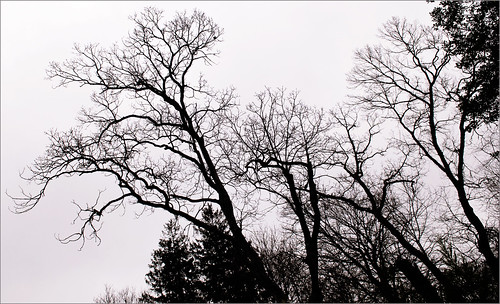 Jan 1 2010 sky by Alida's Photos