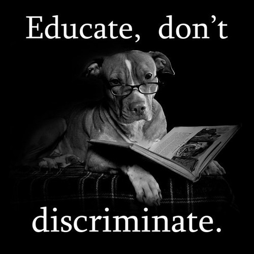 Dog Breed Discrimination