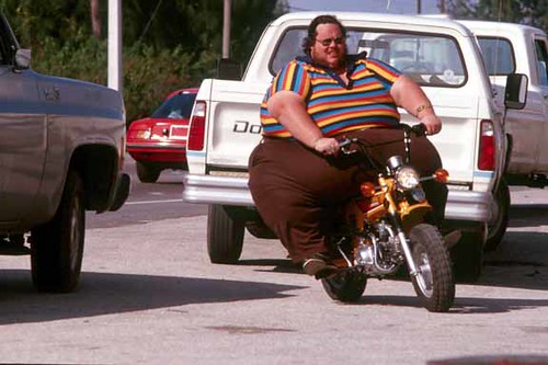 Fat Guy In Mini 24
