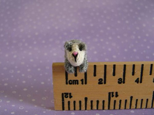 Guinea Pig on a ruler by MUFFA Miniatures