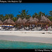 Beach chairs and Palapas, Isla Mujeres (3)