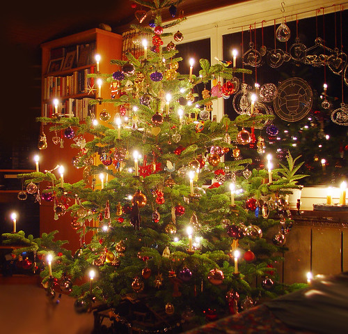 Christmas tree / Weihnachtsbaum / Christbaum / Tannenbaum - 無料写真検索fotoq