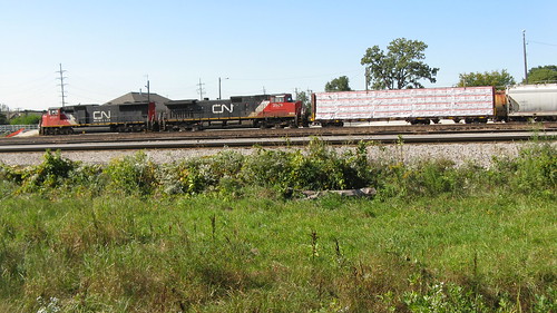Southbound Canadian National freight train arrives at Schiller Park Illinois. Late September 2009. by Eddie from Chicago