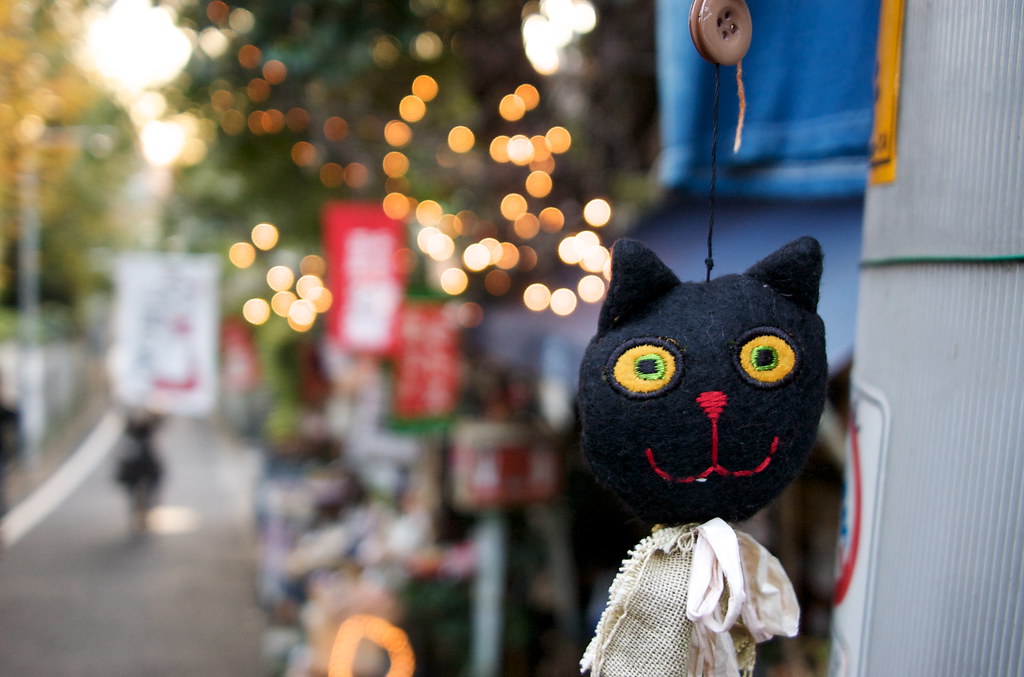 黒猫の飾り 2009/11/23 DSC_7890