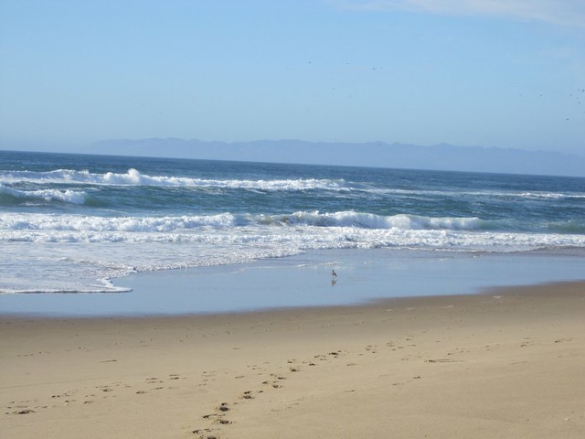 Guadalupe-Nipomo Beach