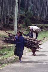 Tanzania, Kenya, Ethiopia Aug-Sept 2001