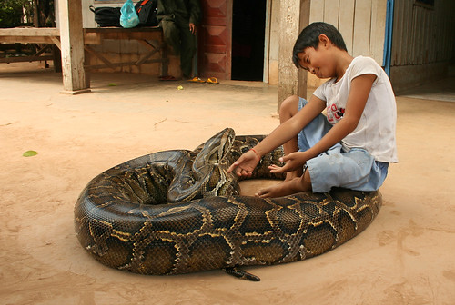 Snake boy in Cambodia
