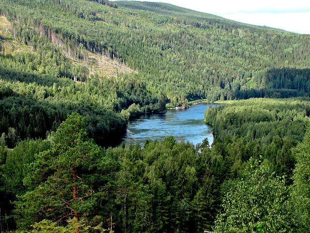 Sweden Landscape