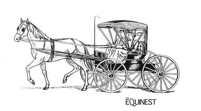camera horse coloring pages - photo #21