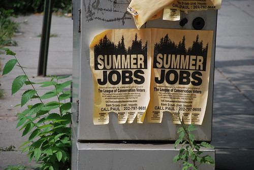 Looking for a summer job?