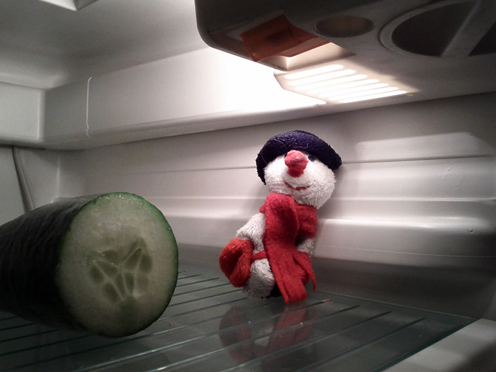 Schneemann im Kühlschrank - Kind 2 setzt sich für artgerechte Haltung von Schneemännern ein
