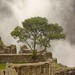 Machu Picchu Images - Howard G Charing (16)