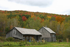 New England Barns
