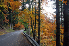 Fall Drive 2009
