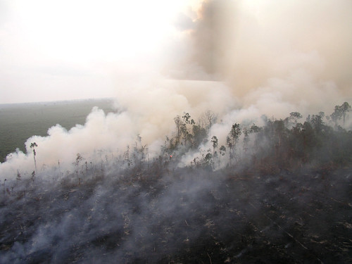 Sumatra burning forest courtesy of Kim Worm Sorensen]