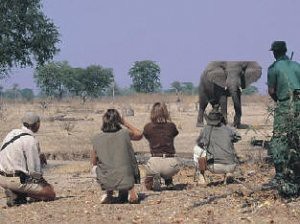 TOURS AND SAFARIS-Camping and Lodge Safaris, Tour Travel Agent by Nature man2