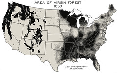 Virgin Forests in 1850