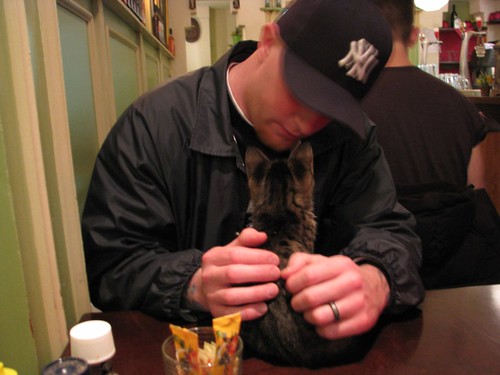 Tom gives the kitty dining etiquette tips