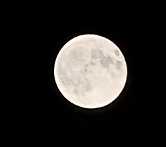 7-7-09 full moon