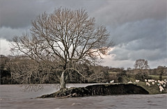 cumbria floods 09