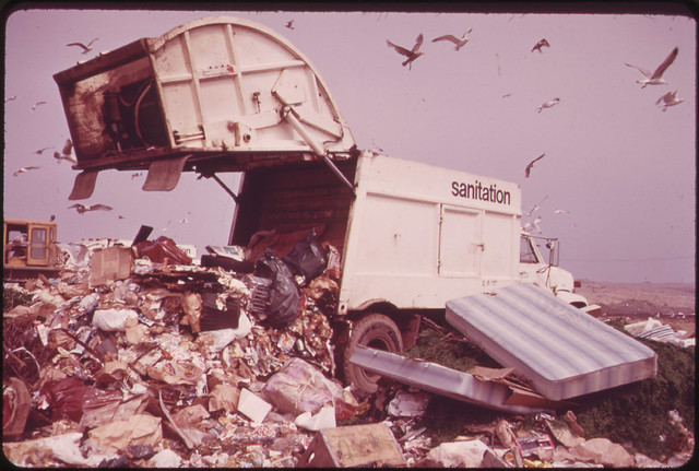 Landfill Operation Is Conducted by the City of New York on the Marshlands of Jamaica Bay. Pollution Hazards and Ecological Damage Have Called Out Strong Opposition 05/1973