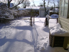 Snowstorm, December 19, 2009