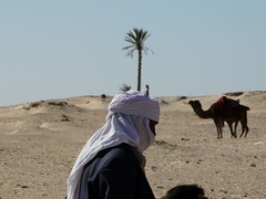 Image of Douz (Tunisia)