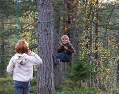Høst 2009 / Autumn