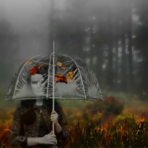 Photograph of girl under autumn umbrella