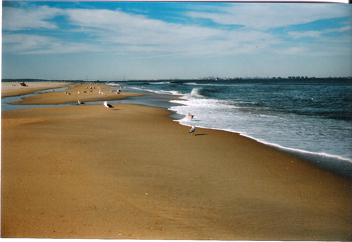 2009 10/25 Sandy Hook, NJ Gunnison Beach - a photo on 
