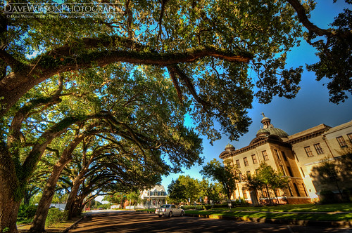 Why HDR Sucks - Live Oaks at Fort Bend County Courthouse