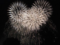 Fireworks: Boston 2009