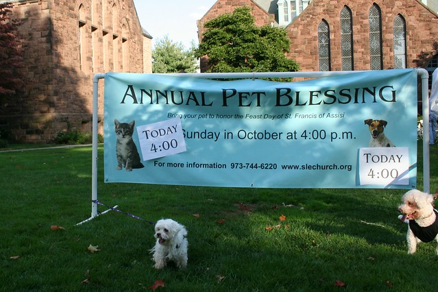 St Francis Day / Blessing Of The Animals