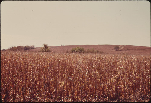 Farm in the Tallgrass Prairie