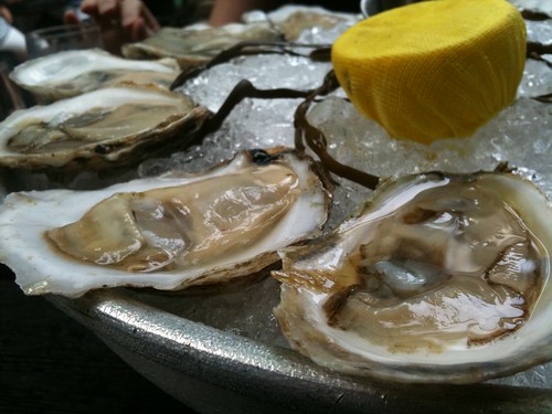 Oysters. Not fried.