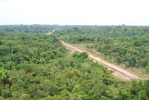 Road through the Amazon