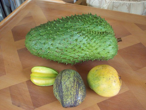 Soursop, Starfruit, 'Julie' Mango & 'Neelum' Mango all from my yard!!! 020