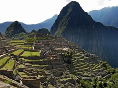 Machu Picchu ( PERU )