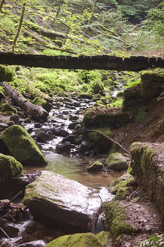 Stream, rocks and bridge