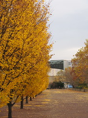 Herbst in Kassel