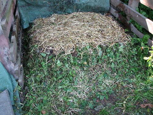 layered aerobic compost