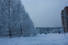 Siberian Winter 2009