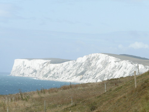 Wight Cliffs
