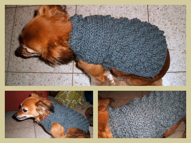 Free Crochet Dog Sweater P
atterns - Dog Lovers Gifts