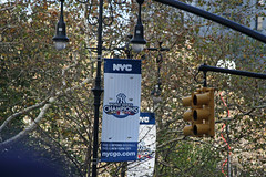 NY Yankees 2009 World Series Champions Parade