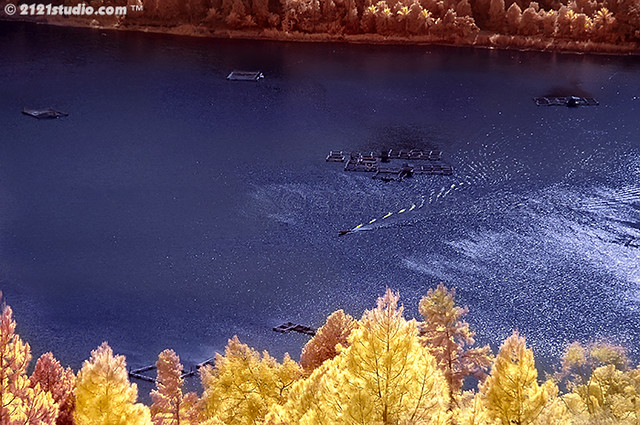 Download this Tanjung Unta Bay Infrared picture
