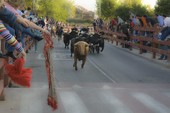 runners chasing down a street after bulls